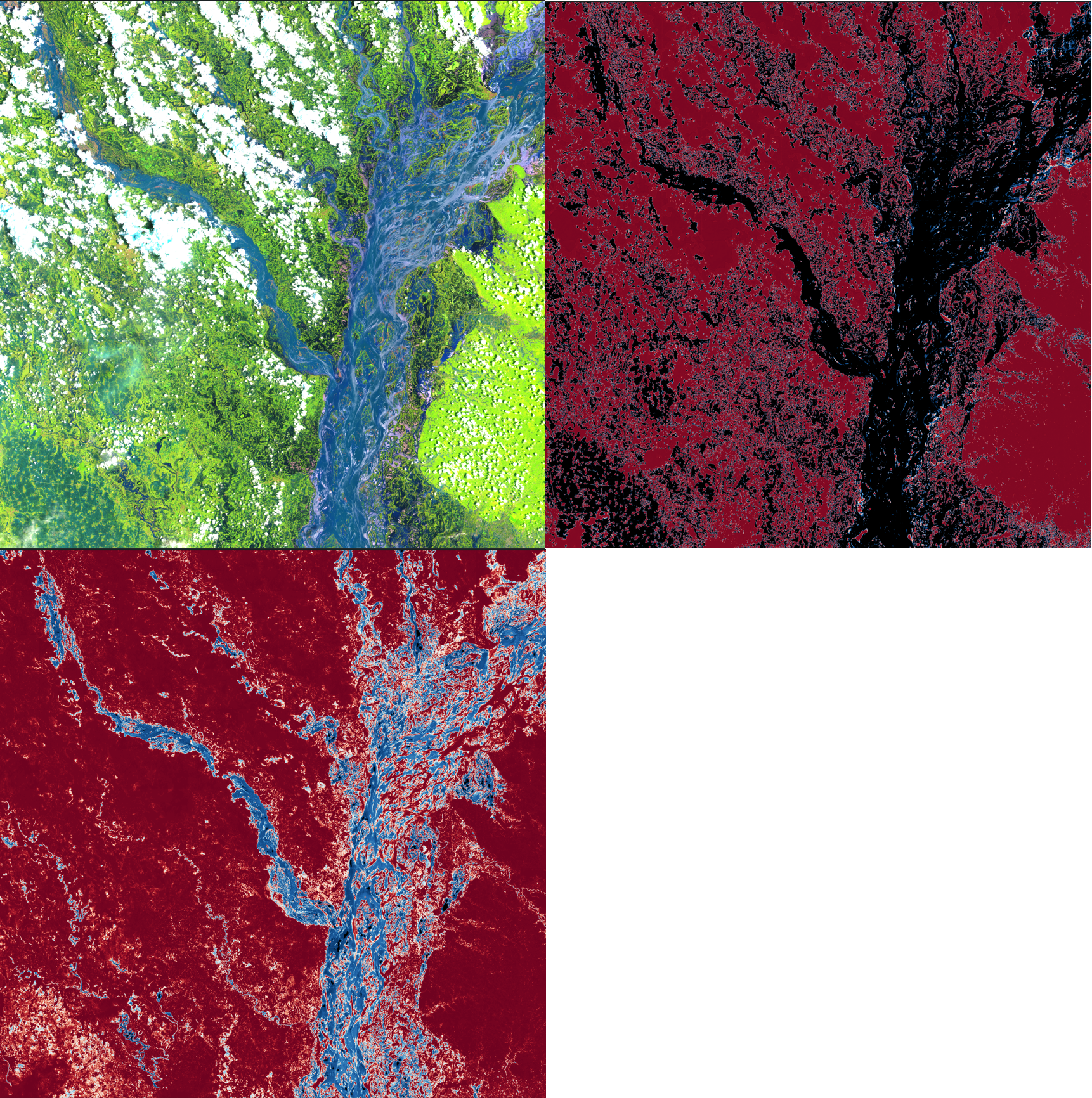 Image 4. RGB False Color (SWIR1, NIR, Red) image, Terramind and Pirthvi water probability (0.0 - red, 1.0 - dark blue) masks for Sentinel-2 (shape 109 km by 109 km) in Bangladesh; 2020 August.
Terramind detects better (more certain probability / closer to one) flooded water than Prithvi